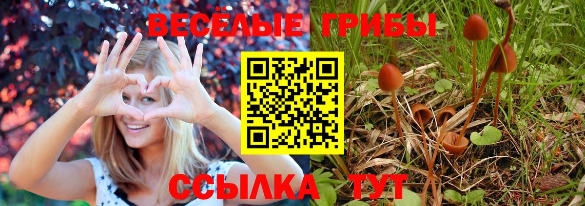 Галлюциногенные грибы MAGIC MUSHROOMS Избербаш